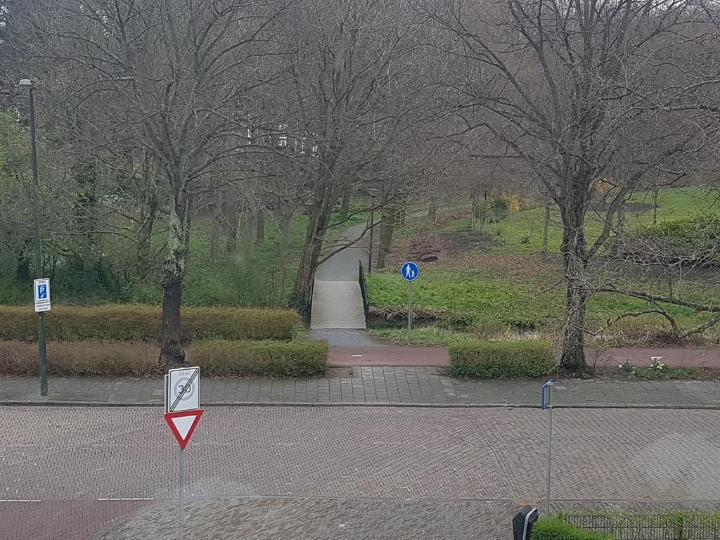 Photo 43 of Thérèse Schwartzestraat 20