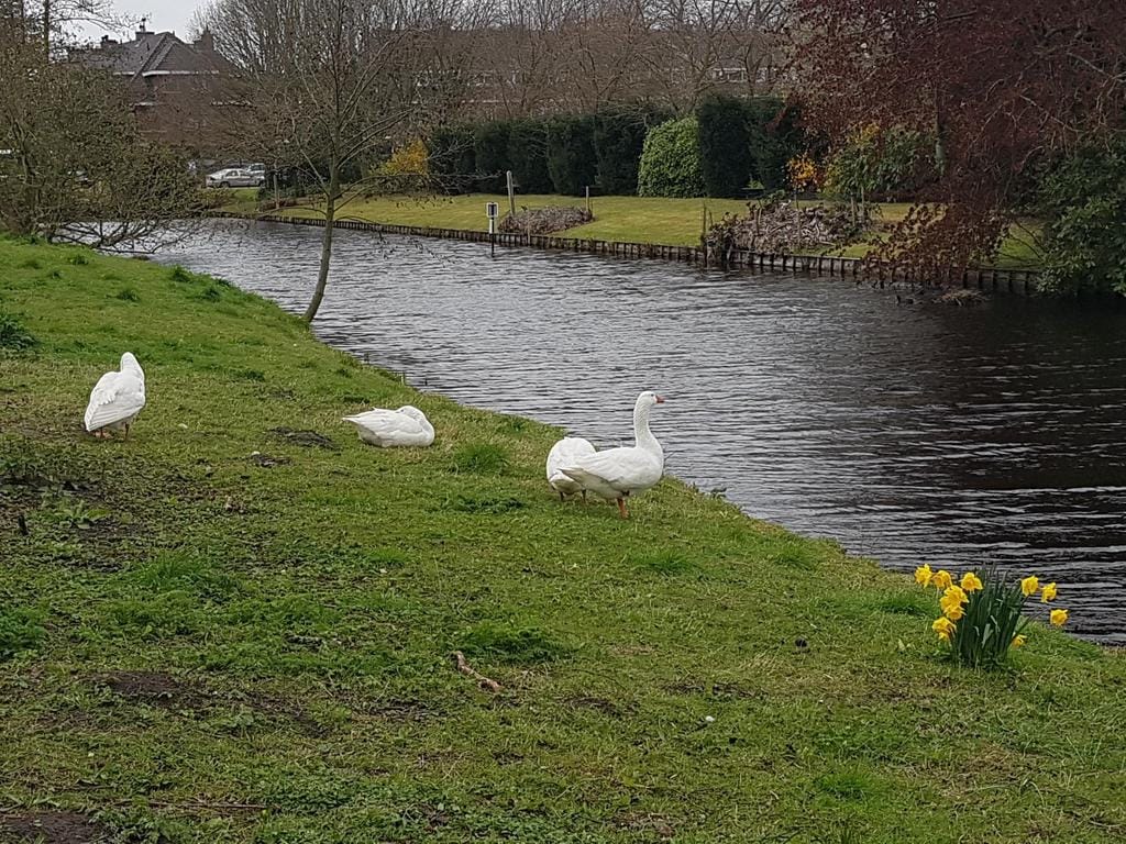 Photo 44 of Thérèse Schwartzestraat 20