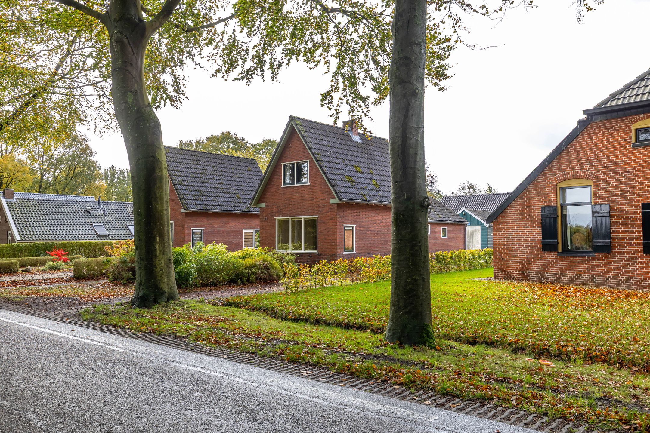 Foto 3 van Kostvlies 33