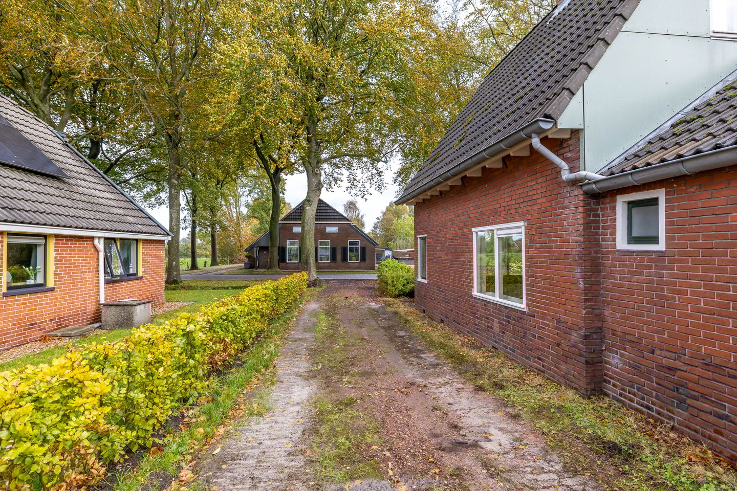 Foto 4 van Kostvlies 33