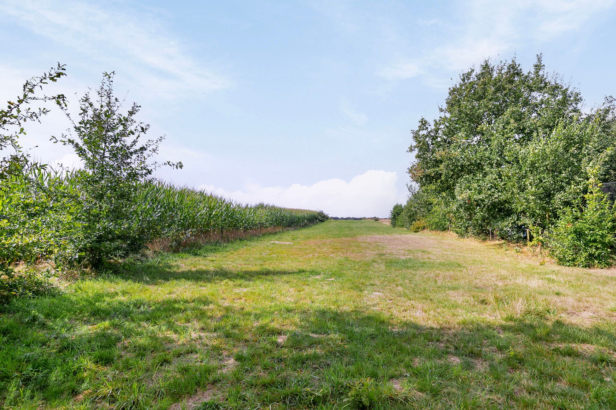 Foto 9 van Kostvlies 33