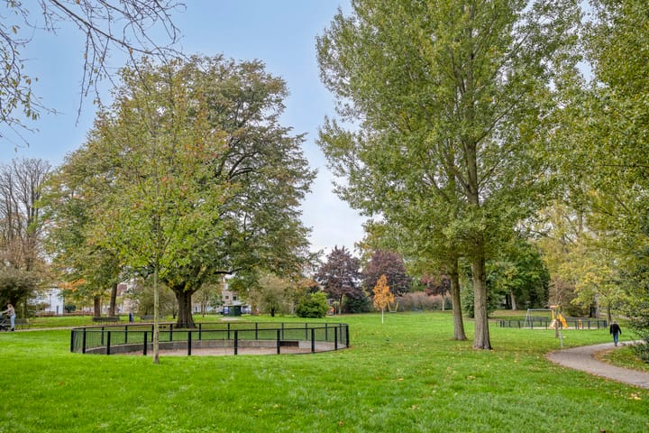 Foto 29 van van Boelenstraat 26