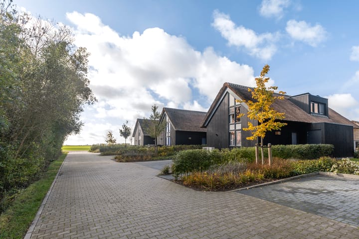 Photo 51 of De Burd 25-B012