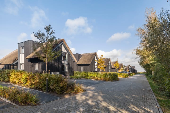 Photo 52 of De Burd 25-B012