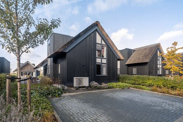 Photo 53 of De Burd 25-B012