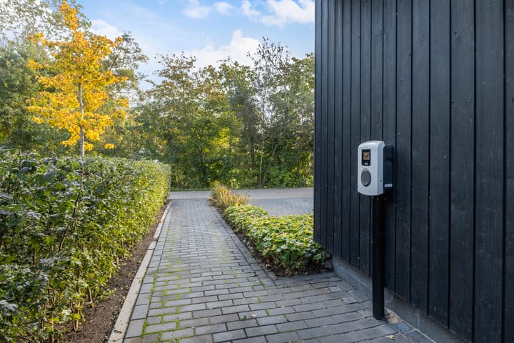 Photo 58 of De Burd 25-B012