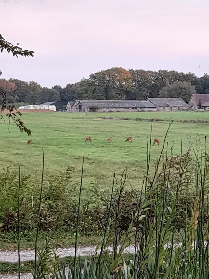 Photo 34 of Griftdijk 17