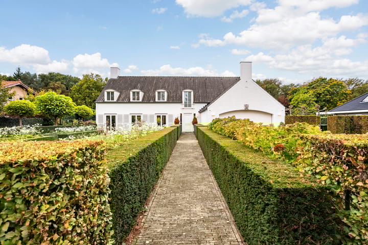 Foto 1 van Atalanta 47