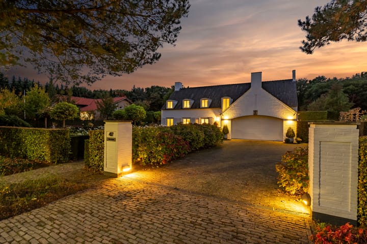 Photo 4 of Atalanta 47