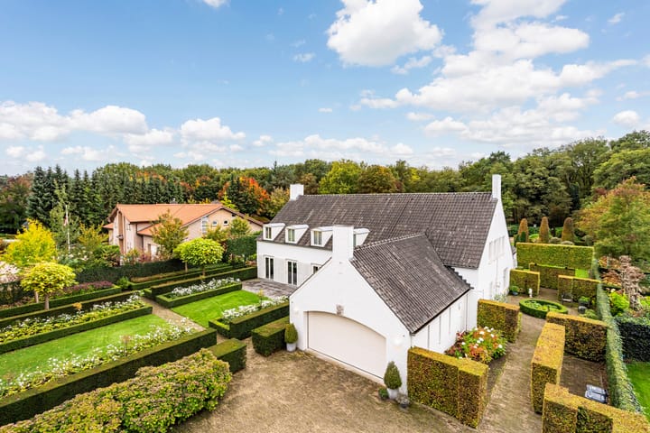 Foto 5 van Atalanta 47