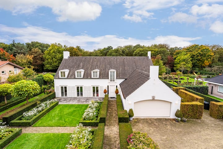 Foto 7 van Atalanta 47