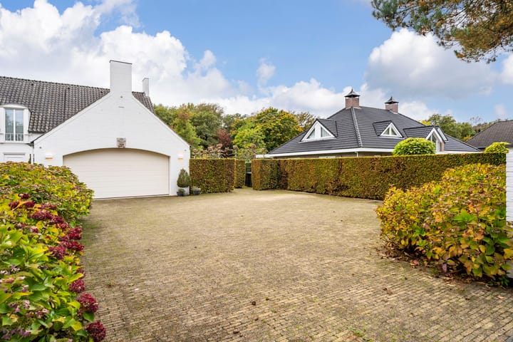 Foto 39 van Atalanta 47