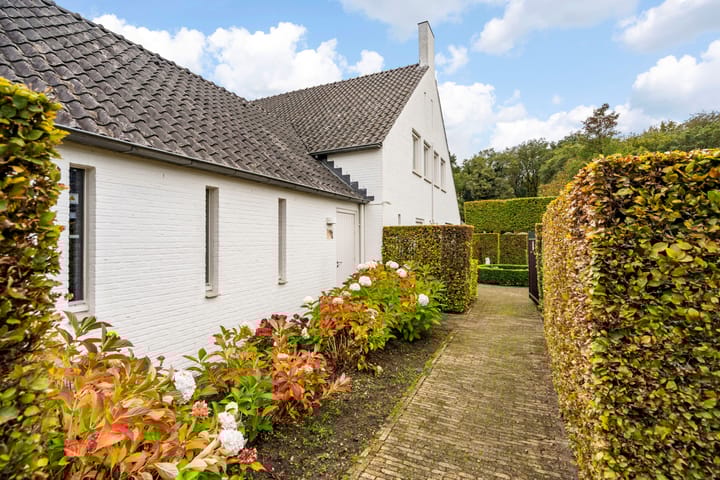 Foto 42 van Atalanta 47