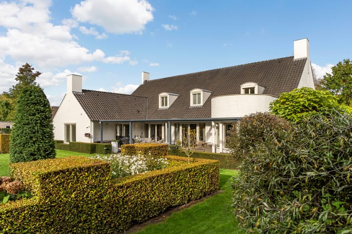 Foto 43 van Atalanta 47