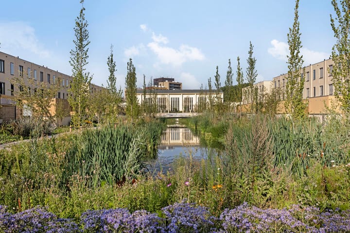 Photo 34 of Zwembaan 108