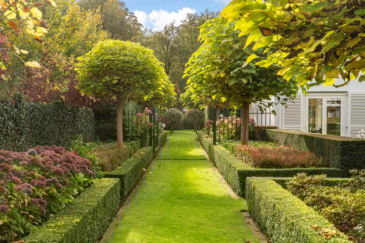 Foto 45 van Atalanta 47