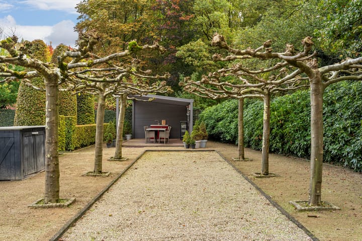 Foto 47 van Atalanta 47