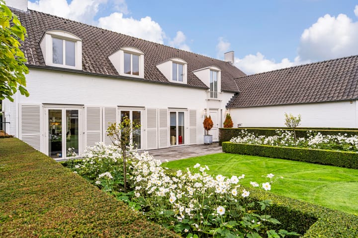 Foto 48 van Atalanta 47