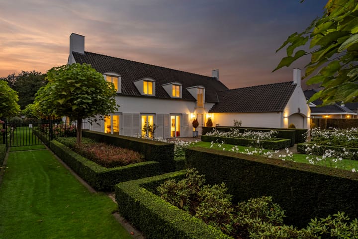 Foto 55 van Atalanta 47