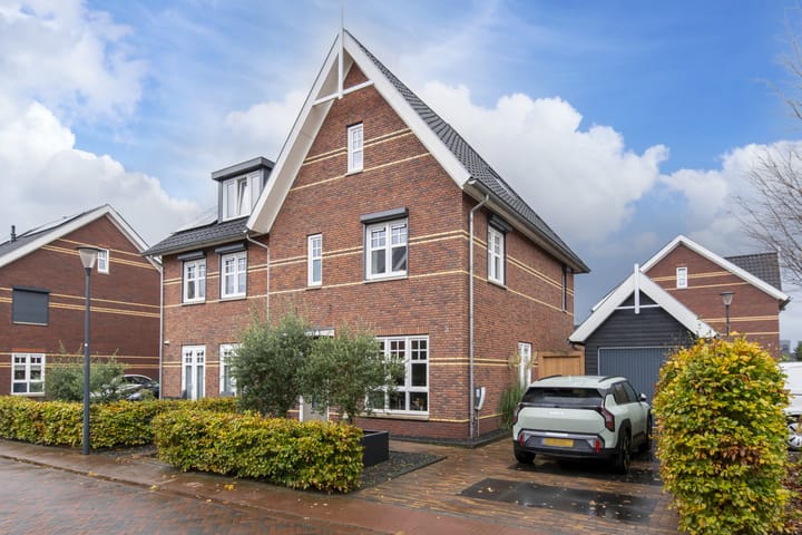 Meerkoet 26 main image