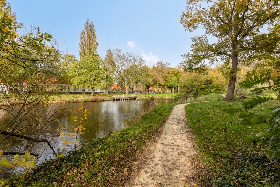 Photo 41 of Frambozenstraat 85