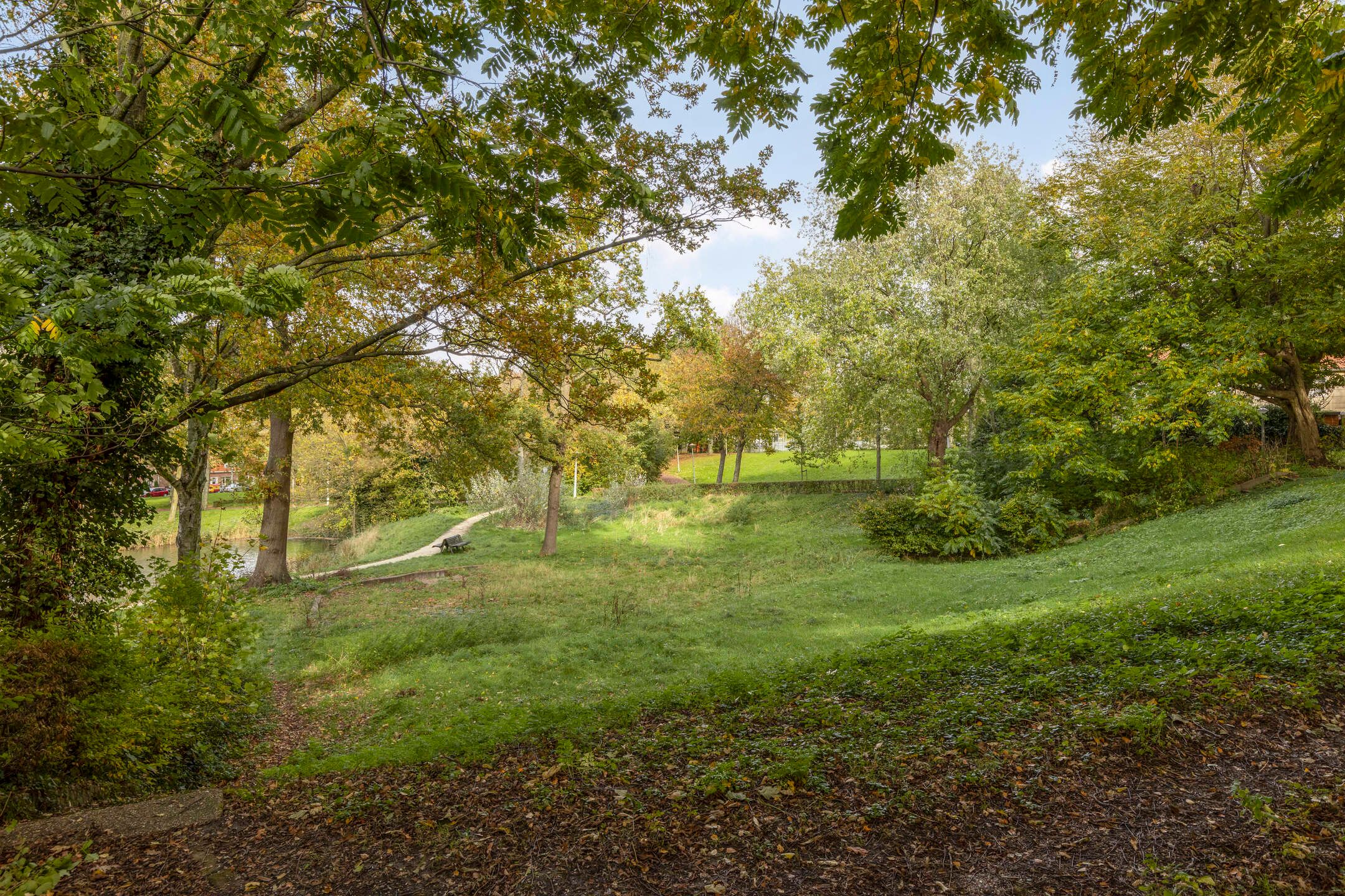 Photo 42 of Frambozenstraat 85