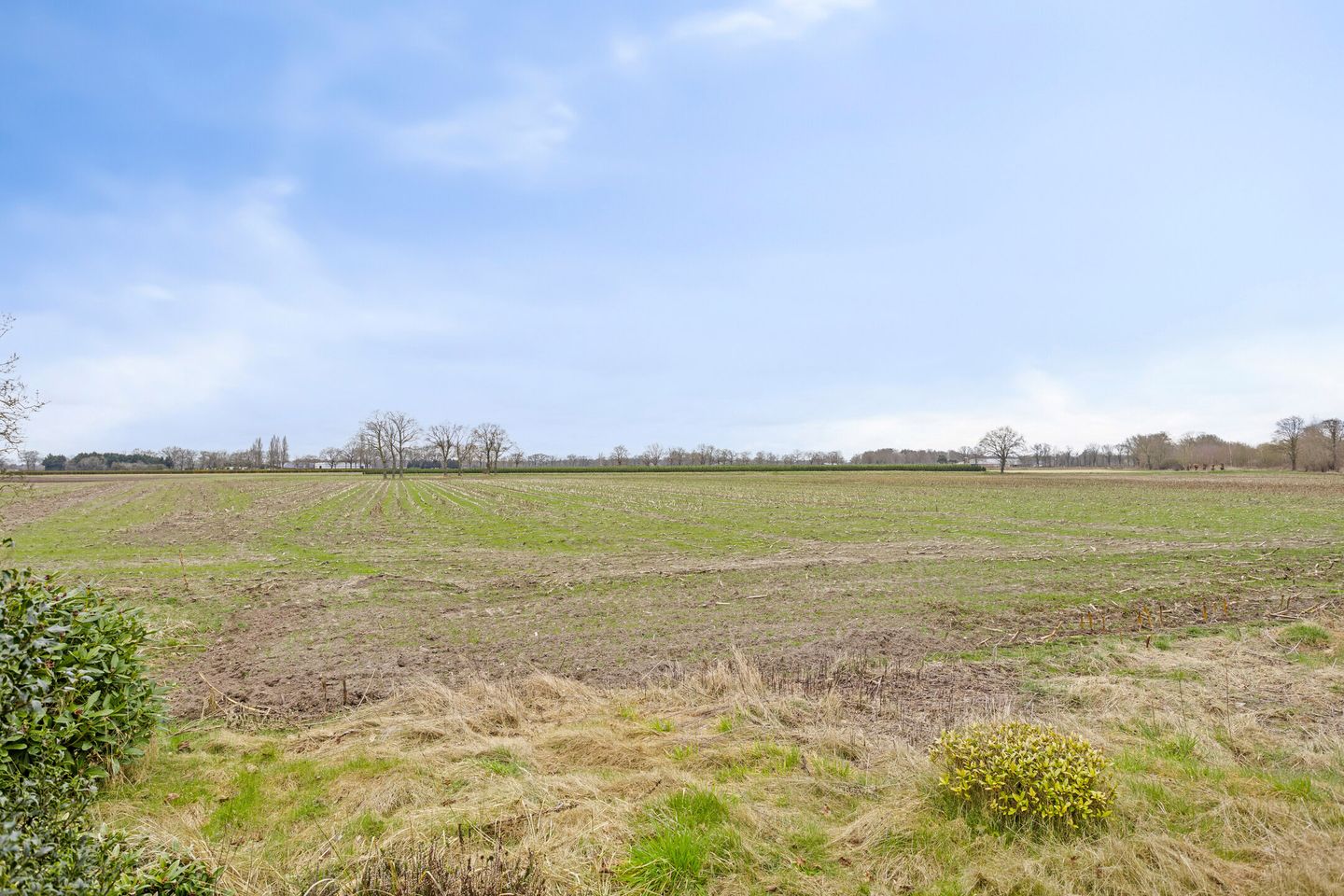 Bekijk foto 4 van Herenbosweg