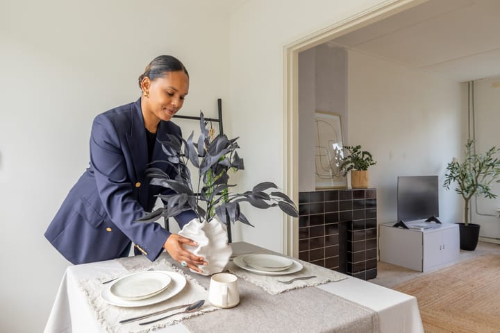 Foto 3 van Hugo de Grootstraat 116