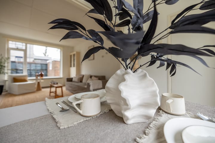 Foto 14 van Hugo de Grootstraat 116