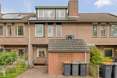 undefined main image