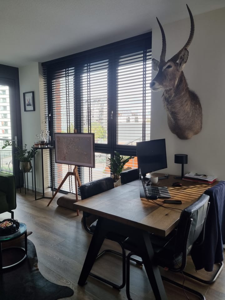 Foto 11 van Kanseliersplein 51