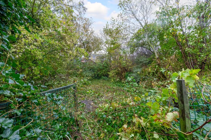 Foto 17 van Wierbalg 1835