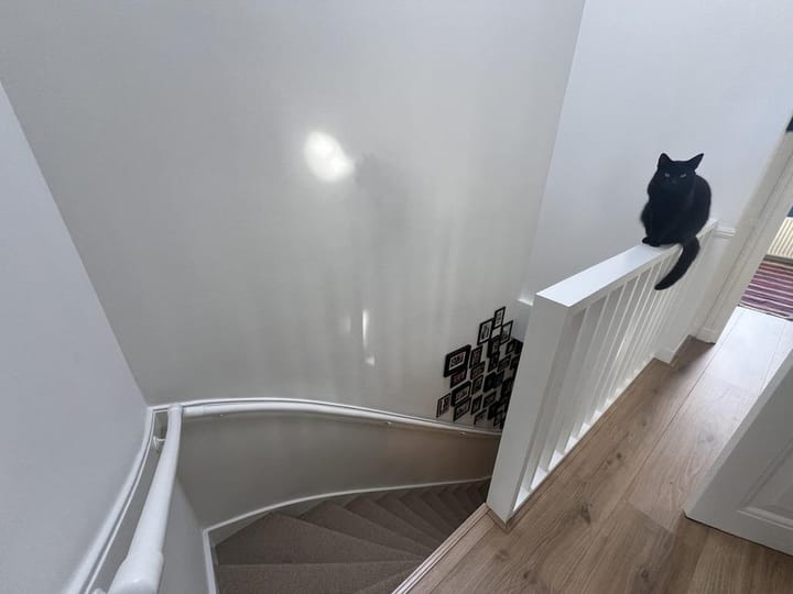 Foto 23 van Van Slingelandtstraat 126