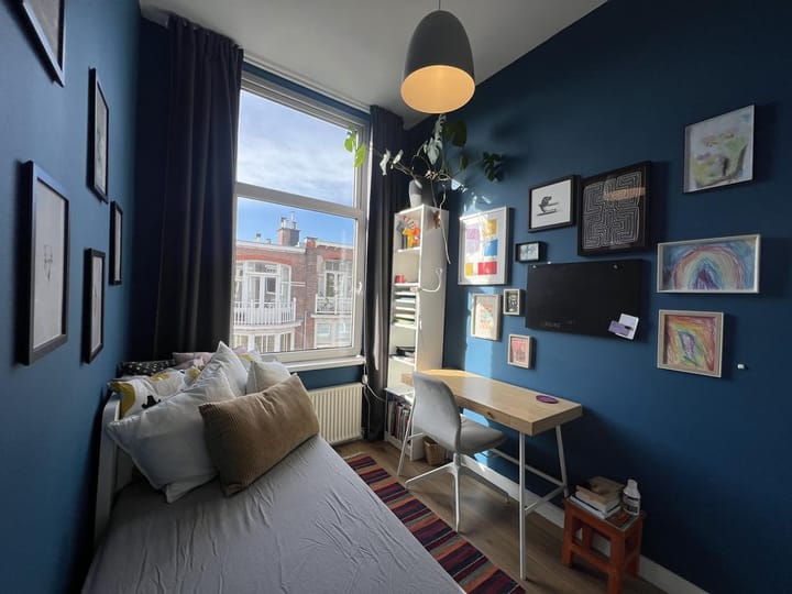 Foto 36 van Van Slingelandtstraat 126