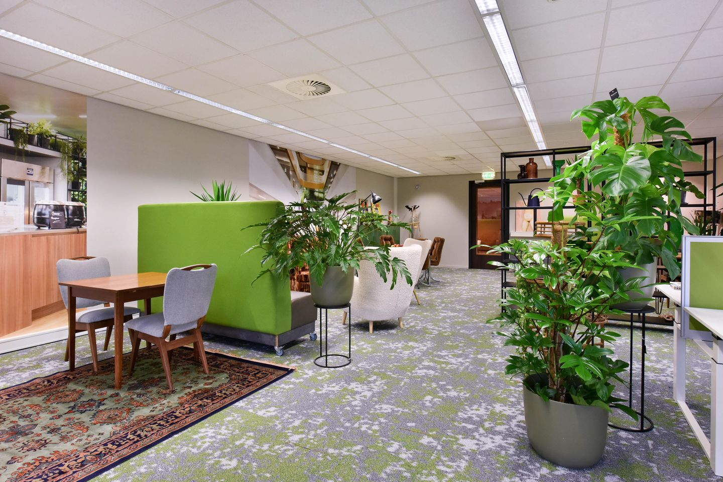 Bekijk foto 3 van 0.02 Speulderbos