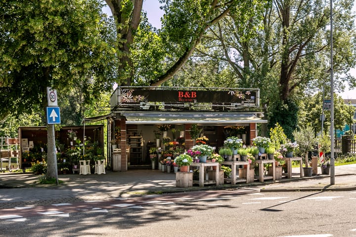 Foto 32 van Schoterweg 68-A