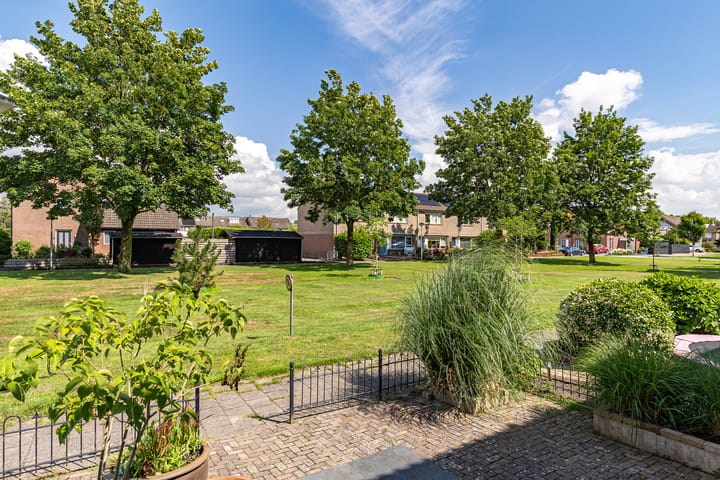 Foto 8 van De Waterlelie 9