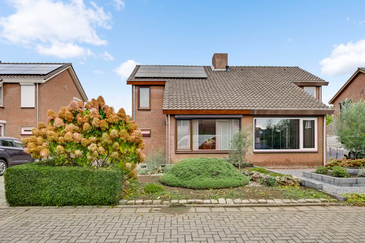 Photo 42 of De Wal 41