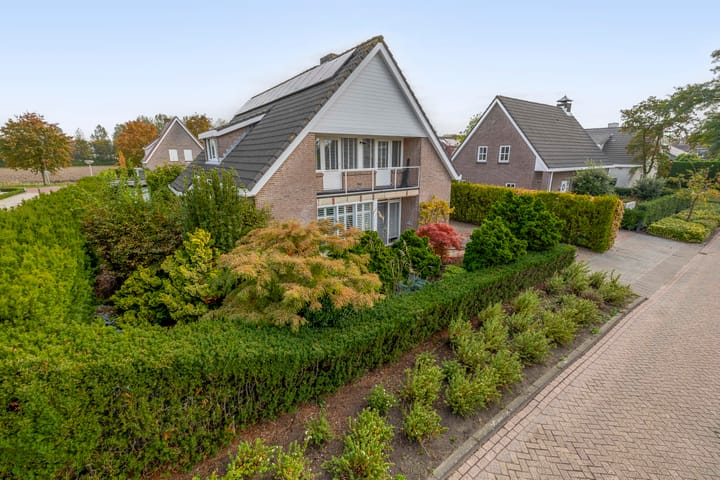 Photo 8 of Oesterzwam 26