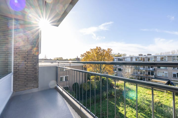 Willem van Boelrestraat 113