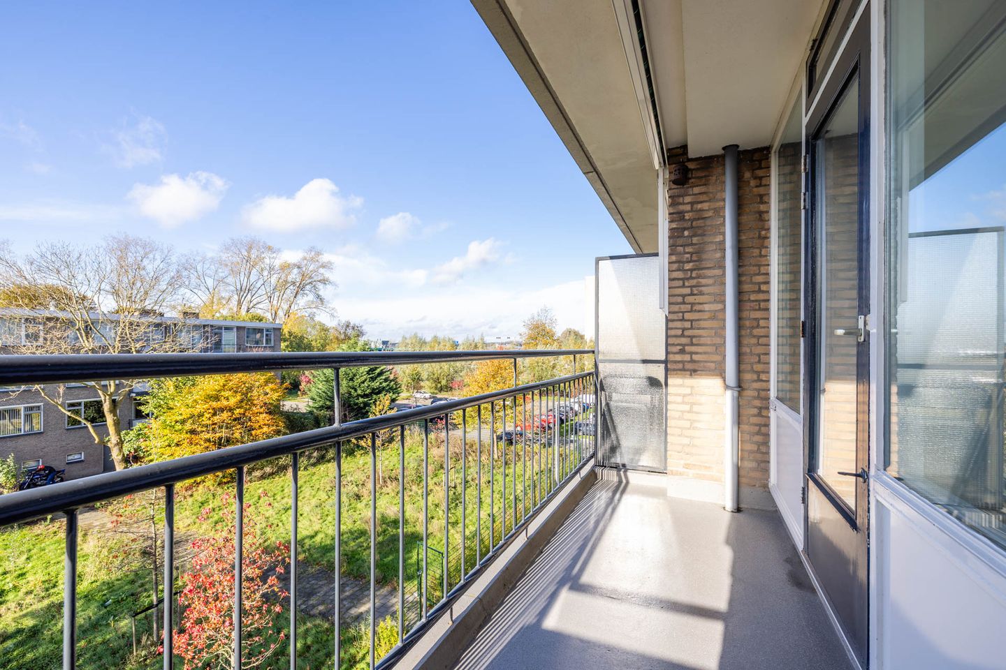 Foto 29 van Willem van Boelrestraat 113