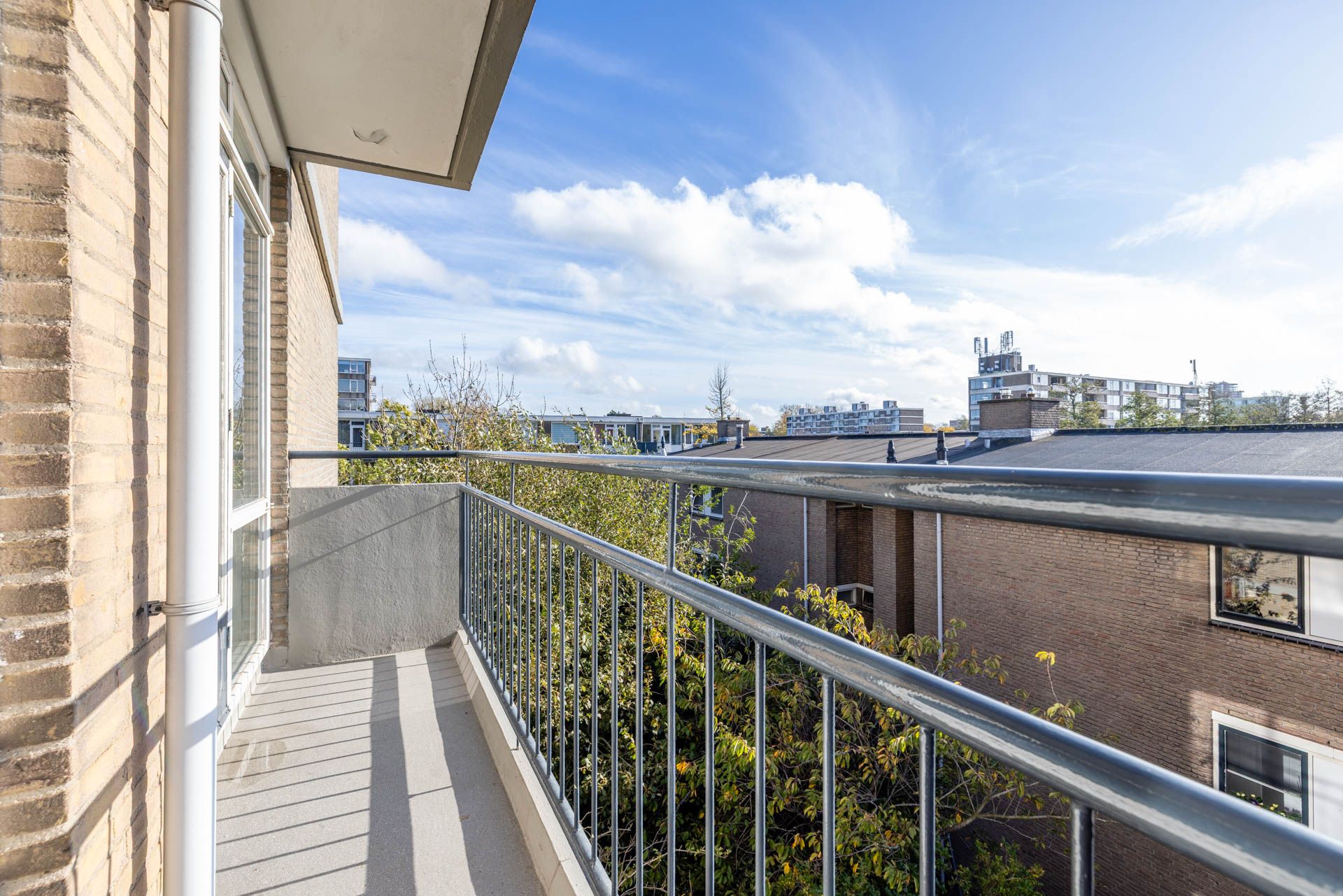 Foto 30 van Willem van Boelrestraat 113