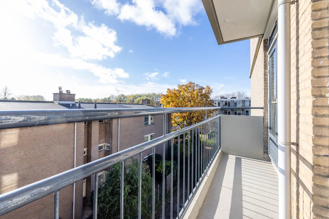 Foto 31 van Willem van Boelrestraat 113