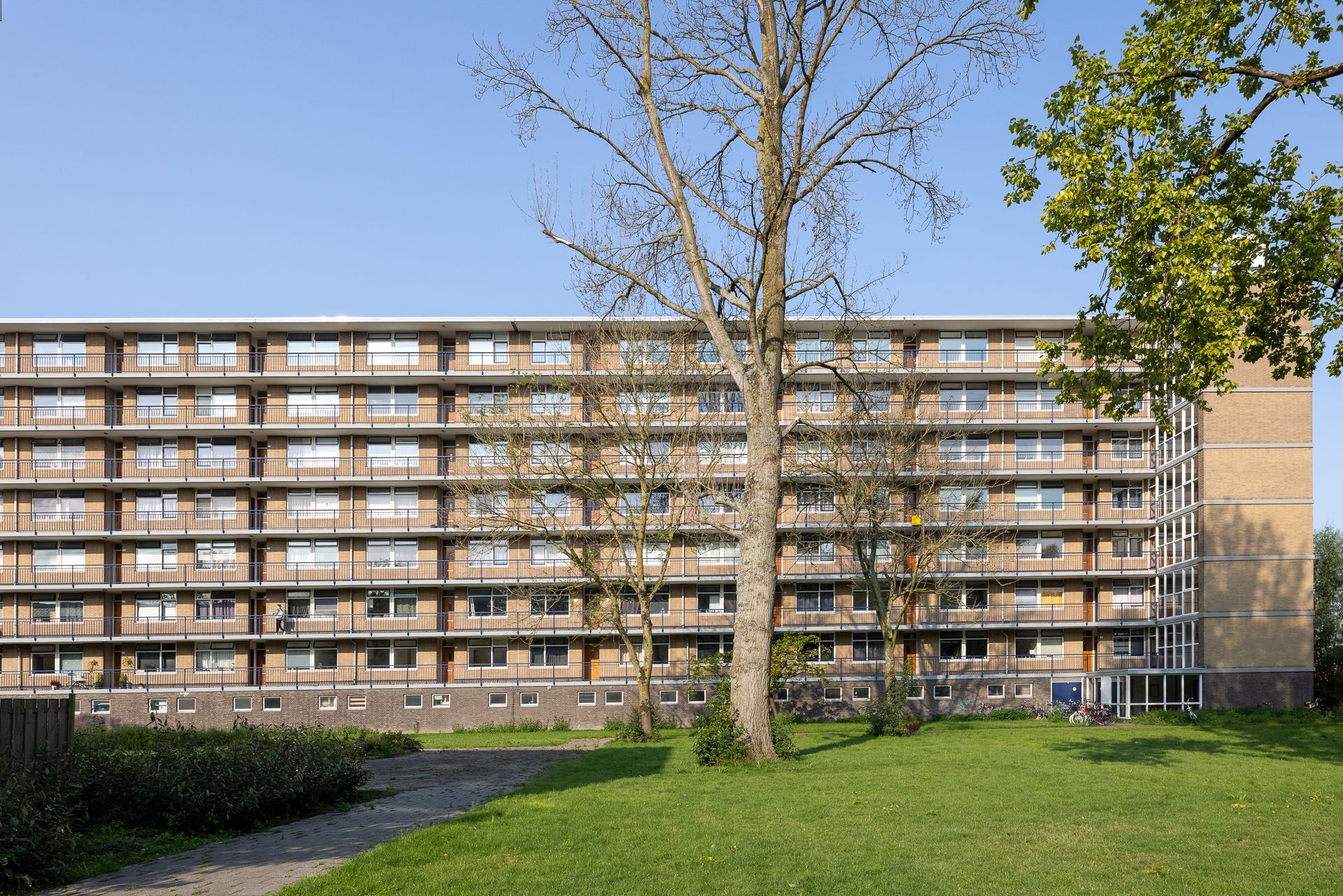 Foto 33 van Willem van Boelrestraat 113