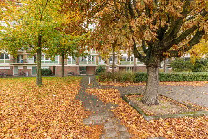 Photo 51 of Eastonstraat 206