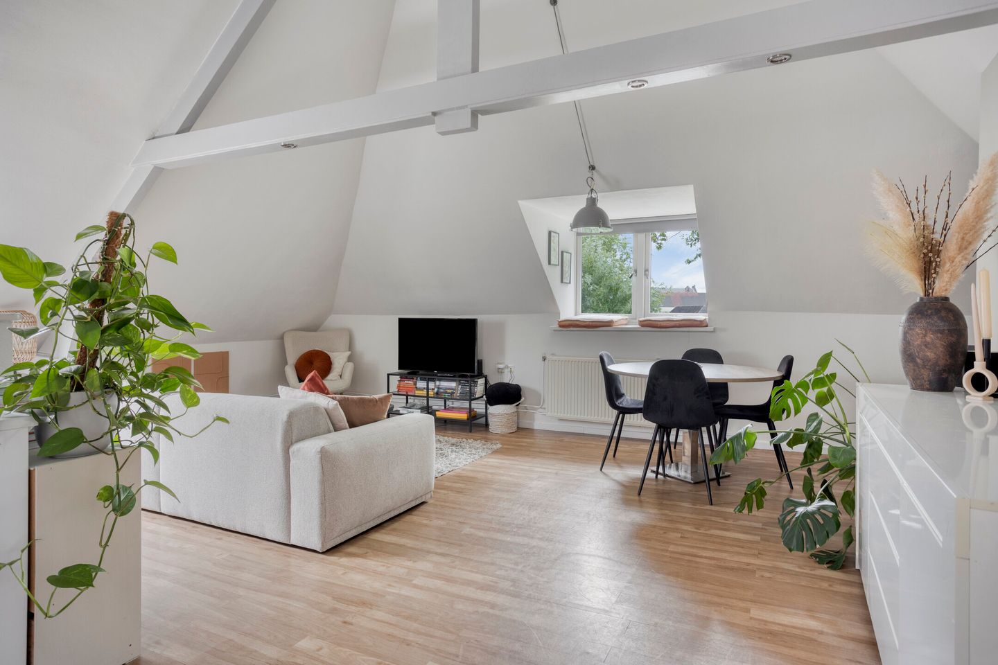 Foto 5 van Zuid Willemsvaart 534-B