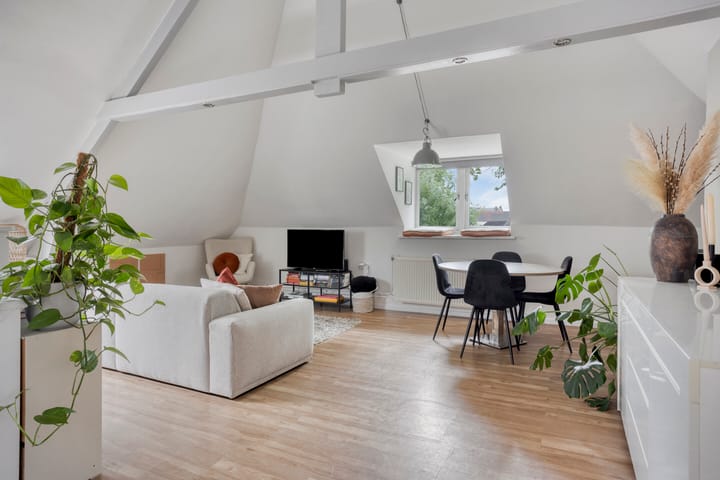 Foto 5 van Zuid Willemsvaart 534-B