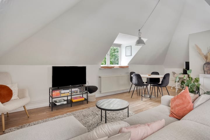 Foto 7 van Zuid Willemsvaart 534-B