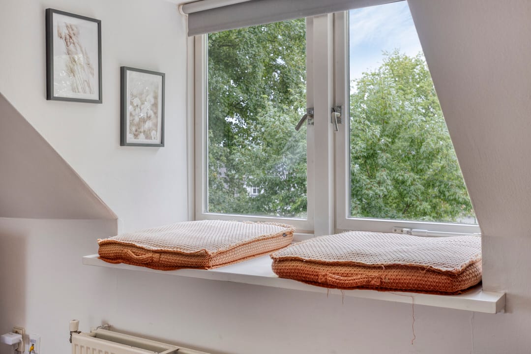 Foto 8 van Zuid Willemsvaart 534-B