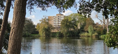 Orionstraat thumbnail